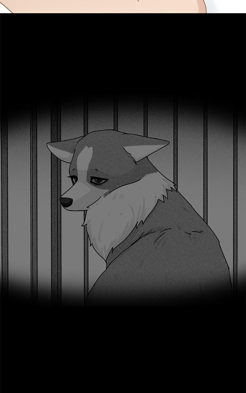 The Dog Diaries Chap 221 - Next Chap 222