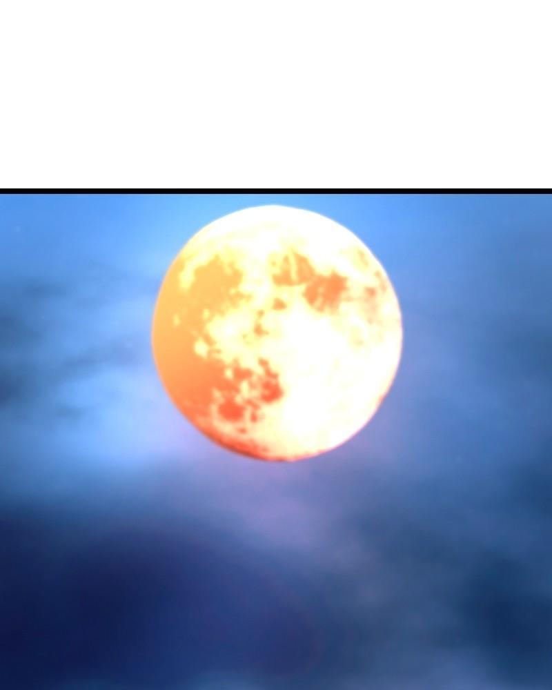 Hanlim Gym Chap 127 - Next Chap 128