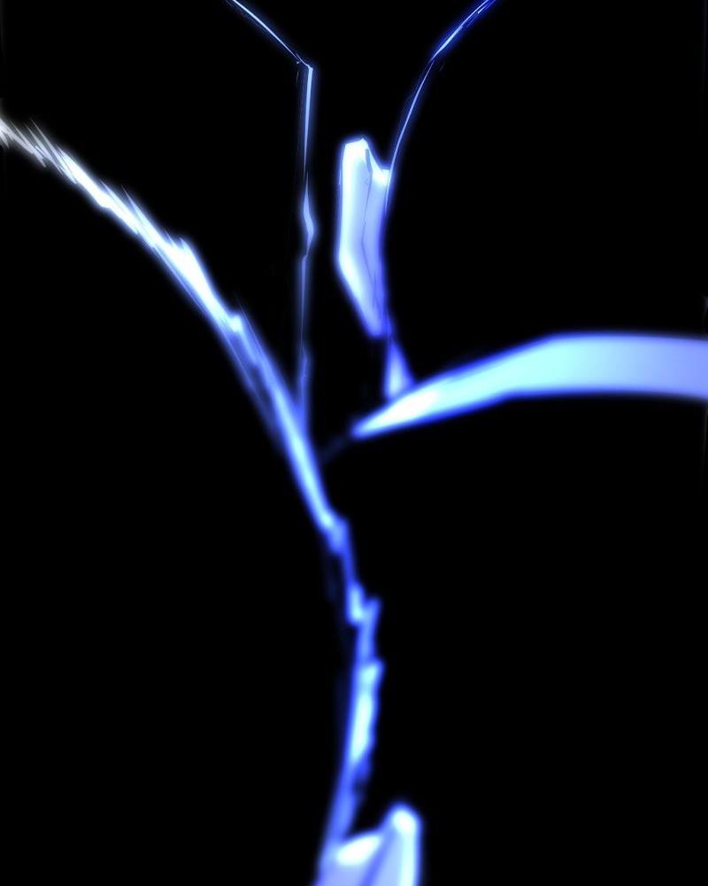 Hanlim Gym Chap 134 - Next Chap 135