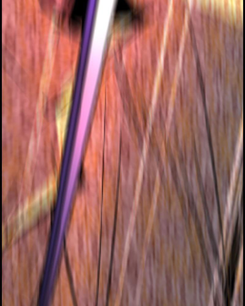 Hanlim Gym Chap 203 - Next Chap 204