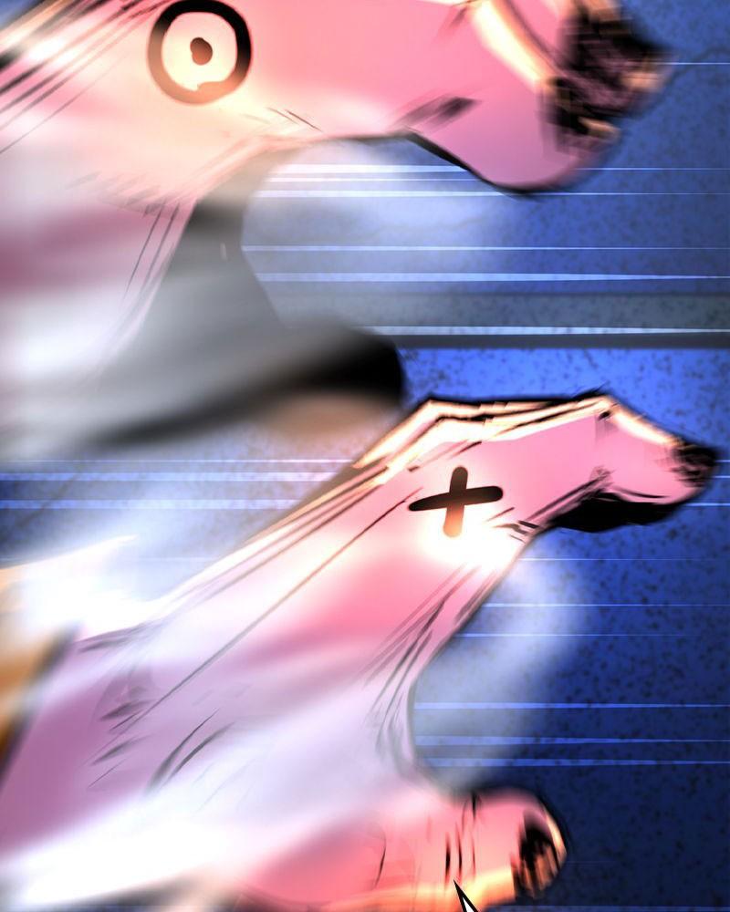 Hanlim Gym Chap 208 - Next Chap 209