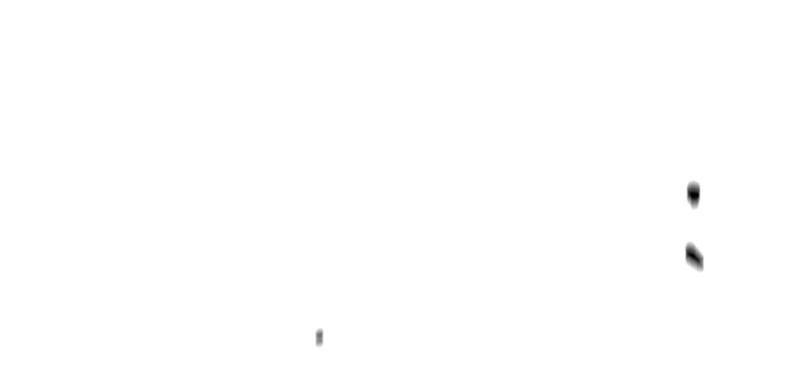 Hanlim Gym Chap 208 - Next Chap 209