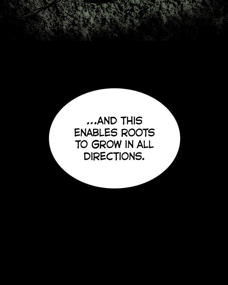 Hanlim Gym Chap 204 - Next Chap 205