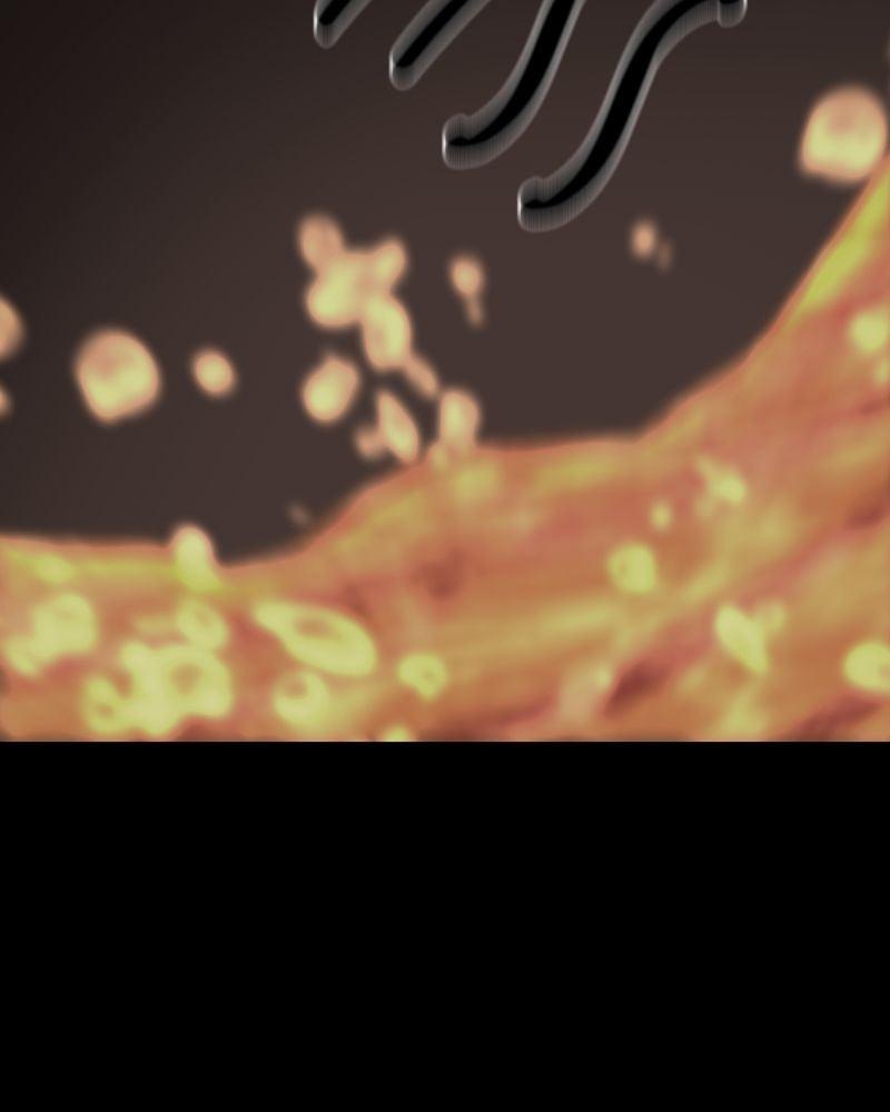 Hanlim Gym Chap 215 - Next Chap 216