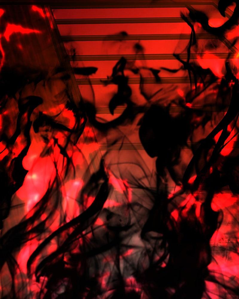 Hanlim Gym Chap 233 - Next Chap 234