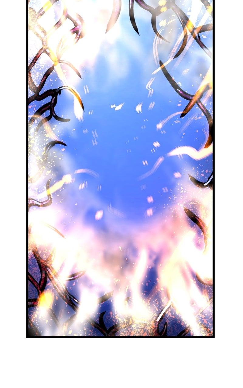 Hanlim Gym Chap 240 - Next Chap 241