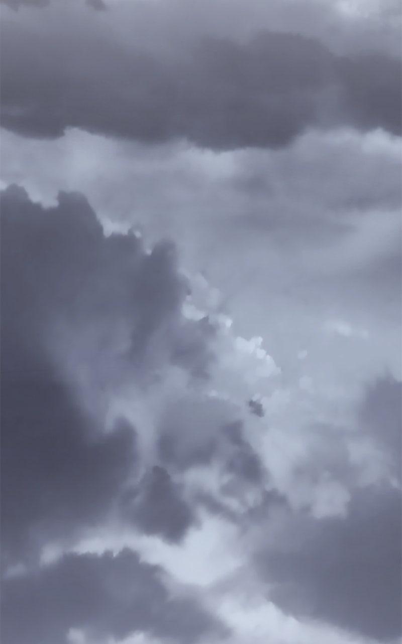 I Reincarnated As the Crazed Heir Chap 168 - Next Chap 169