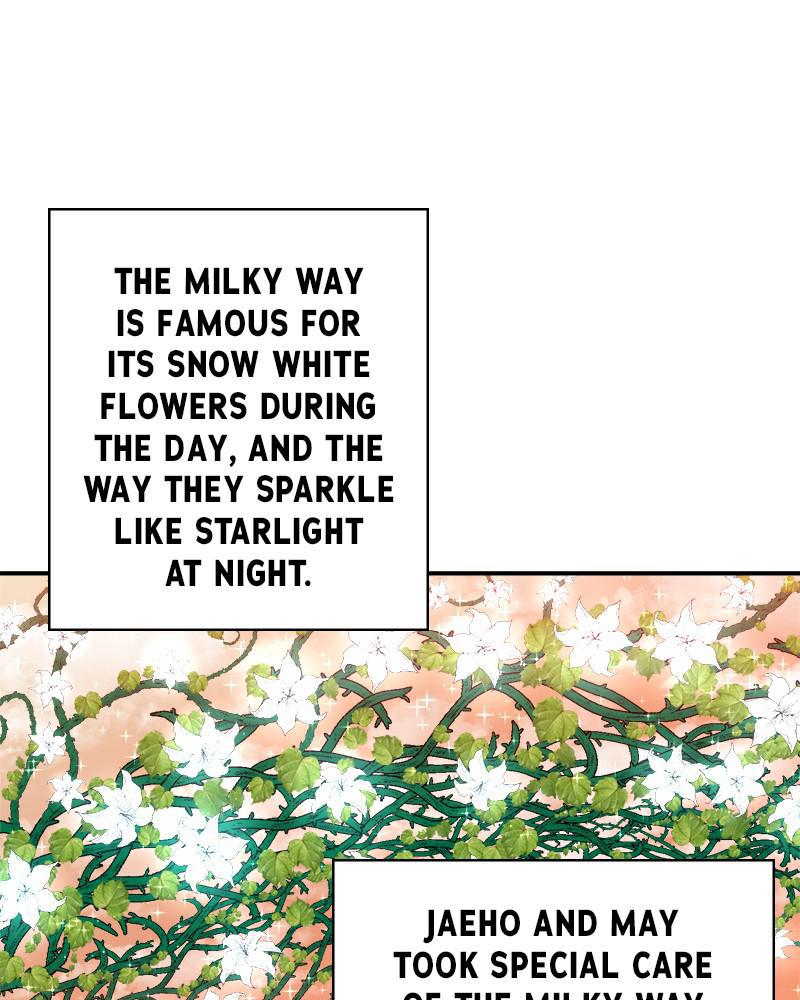The Strongest Florist Chap 57 - Next Chap 58