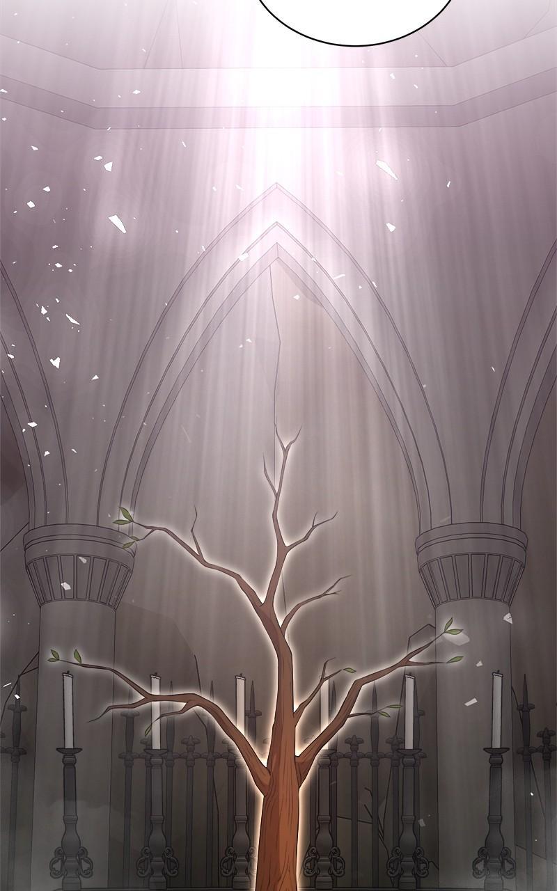 The Strongest Florist Chap 159 - Next Chap 160