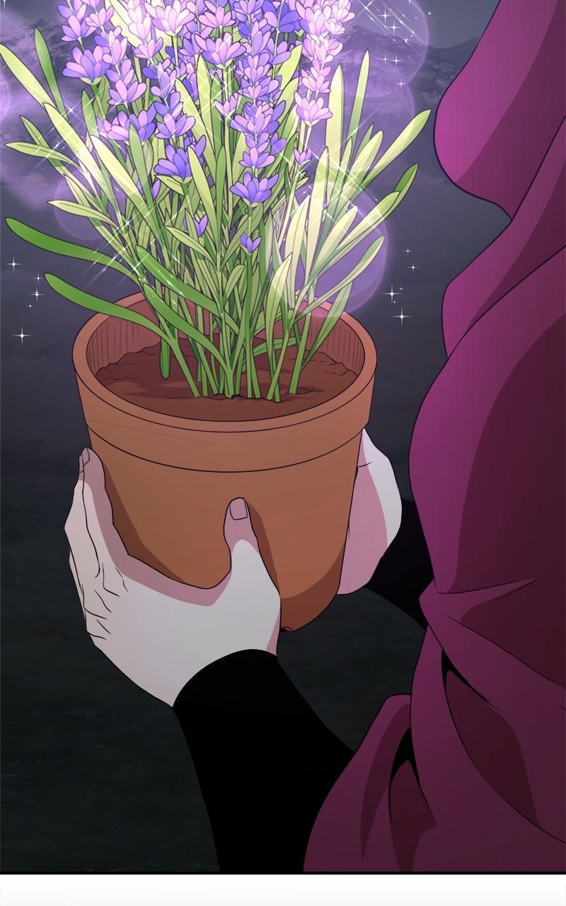 The Strongest Florist Chap 178 - Next Chap 179