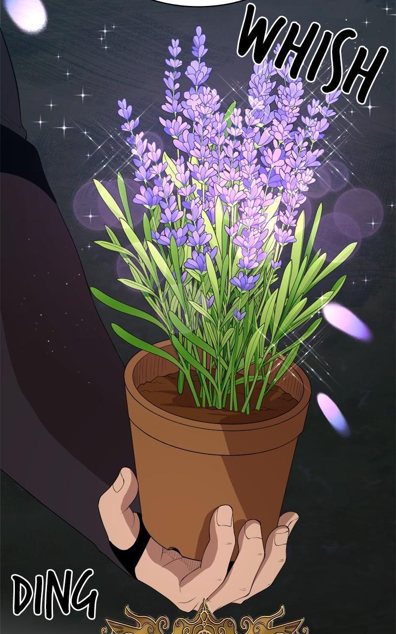 The Strongest Florist Chap 178 - Next Chap 179