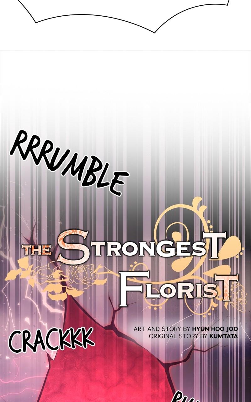 The Strongest Florist Chap 207 - Next Chap 208