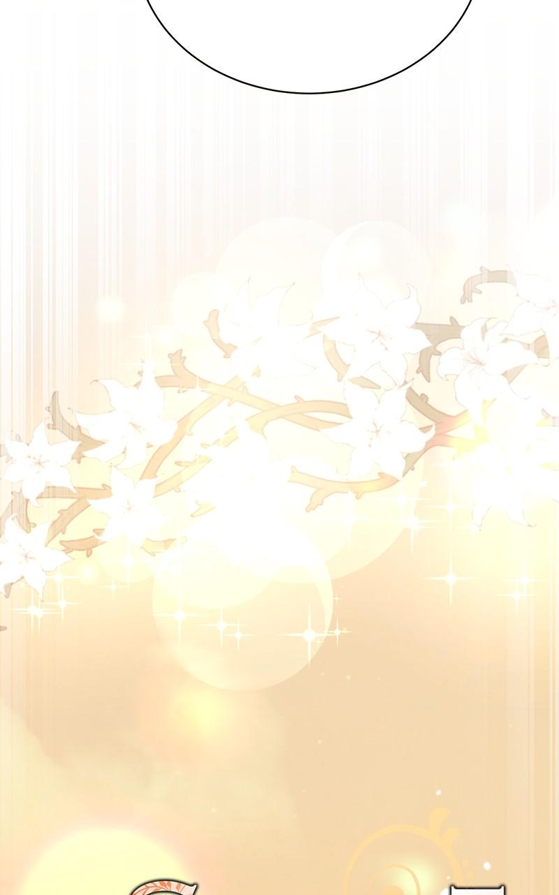 The Strongest Florist Chap 233 - Next Chap 234