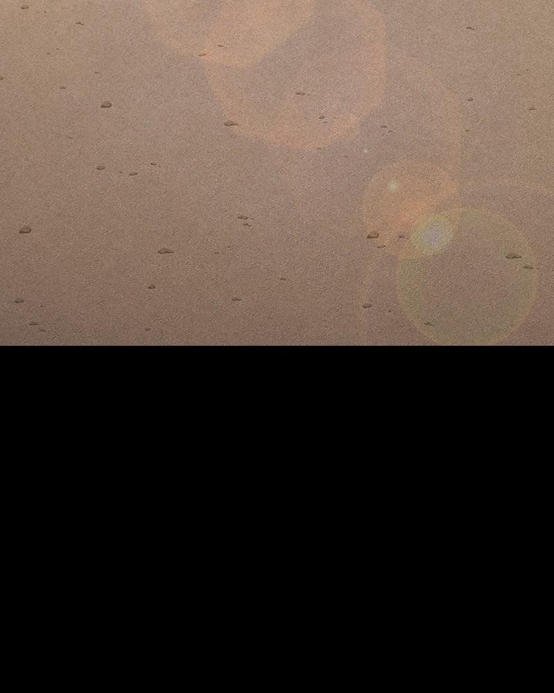 To Not Die Chap 237 - Next Chap 238