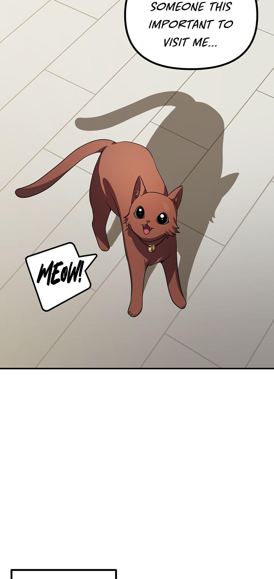 SSS-Class Revival Hunter Chap 16 - Next Chap 17