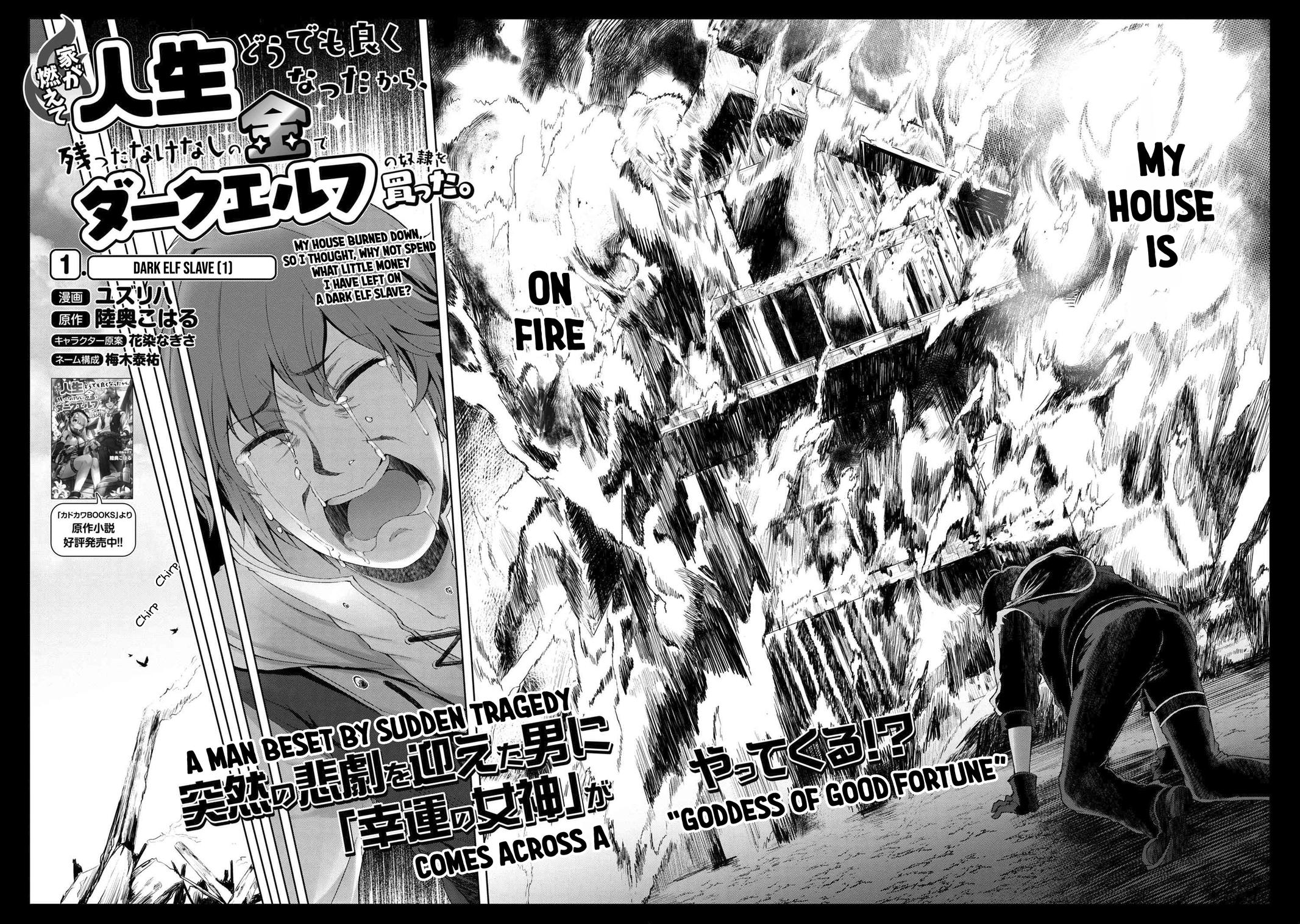 Ie ga Moete Jinsei Doudemo Yoku Natta kara Nokotta Nakenashi no Kane de Dark Elf no Dorei wo Katta. Chap 1 - Next Chap 2