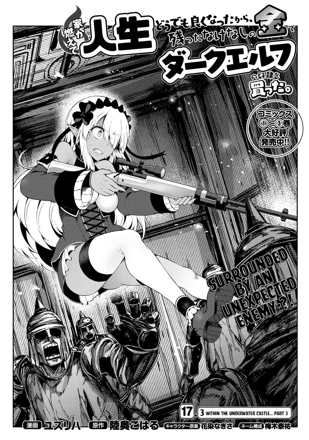 Ie ga Moete Jinsei Doudemo Yoku Natta kara Nokotta Nakenashi no Kane de Dark Elf no Dorei wo Katta. Chap 17.3 - Next Chap 18.3