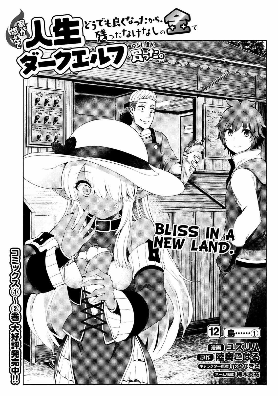 Ie ga Moete Jinsei Doudemo Yoku Natta kara Nokotta Nakenashi no Kane de Dark Elf no Dorei wo Katta. Chap 12.1 - Next Chap 13.1