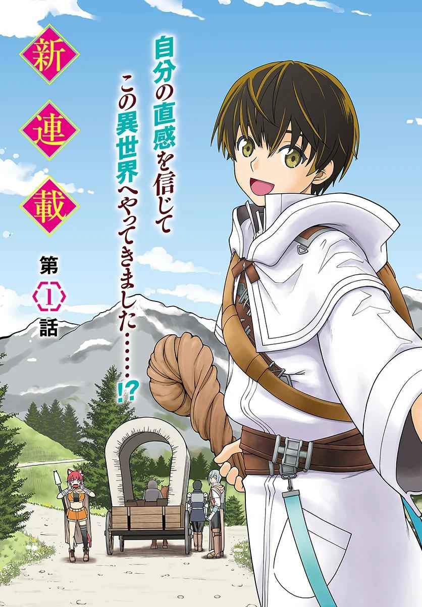 Gokufuri Kyohi shite Tesaguri Start!: Tokka shinai Healer, Nakama to Wakarete Tabi ni Deru Chap 1 - Next Chap 2