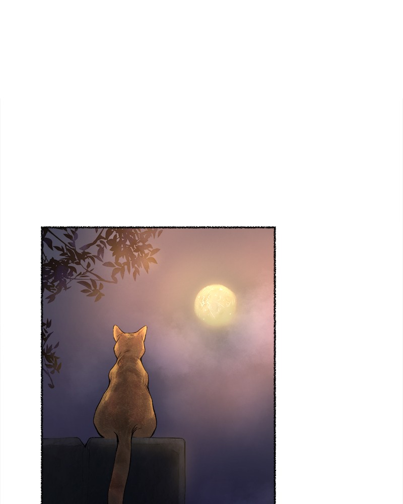 Like Wind on a Dry Branch Chap 7 - Next Chap 8
