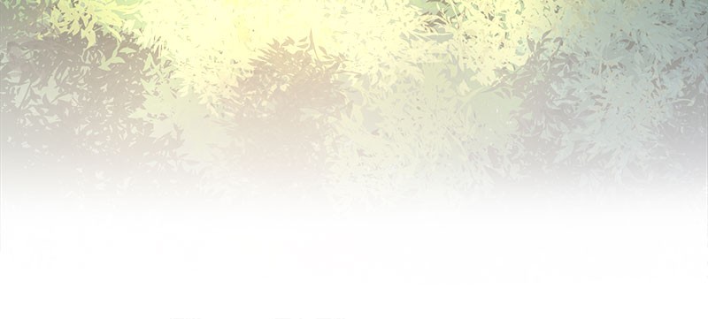 Like Wind on a Dry Branch Chap 8 - Next Chap 9