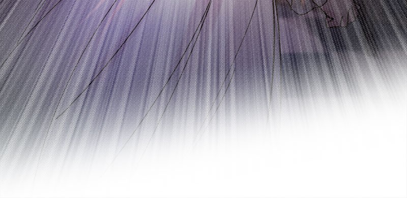 Like Wind on a Dry Branch Chap 15 - Next Chap 16