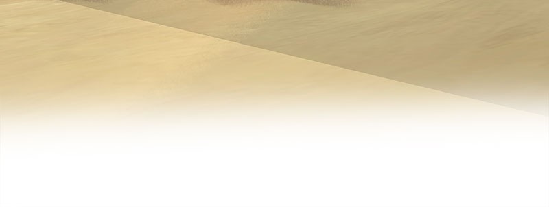 Like Wind on a Dry Branch Chap 24 - Next Chap 25
