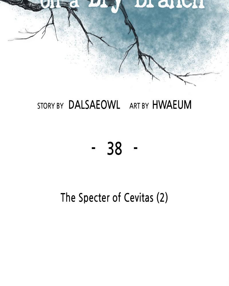Like Wind on a Dry Branch Chap 38 - Next Chap 39
