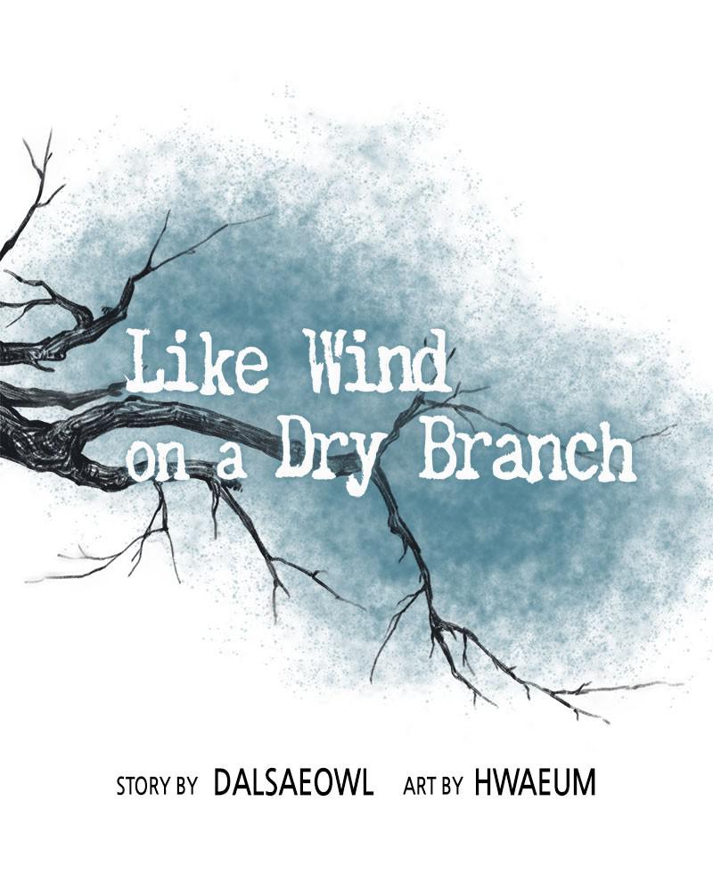Like Wind on a Dry Branch Chap 39 - Next Chap 40