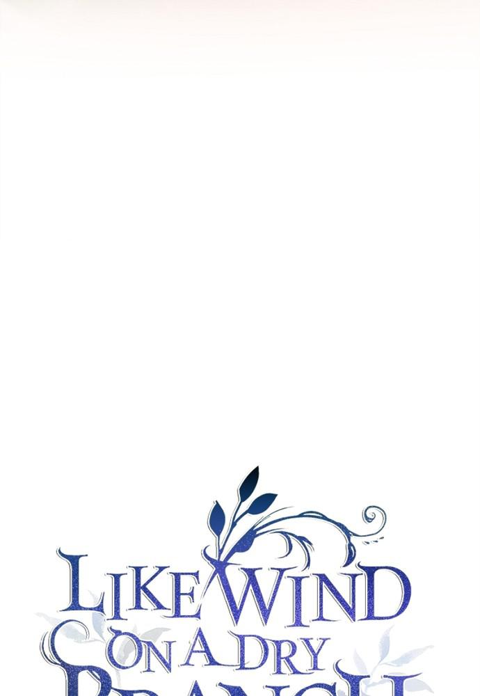 Like Wind on a Dry Branch Chap 44 - Next Chap 45