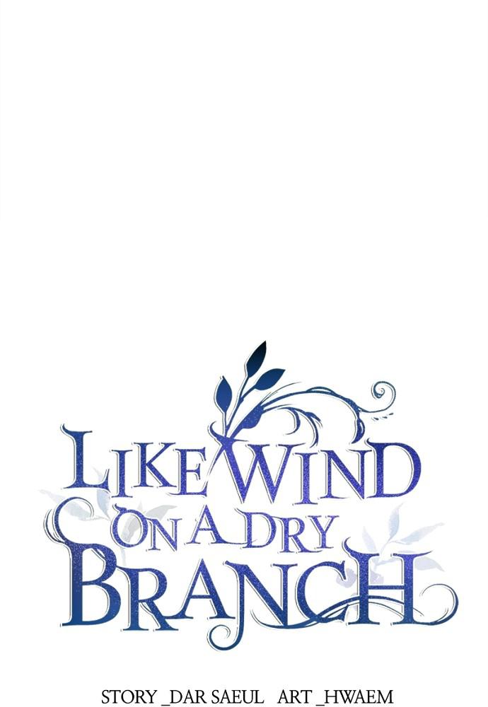 Like Wind on a Dry Branch Chap 46 - Next Chap 47