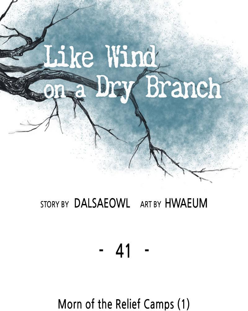 Like Wind on a Dry Branch Chap 41 - Next Chap 42