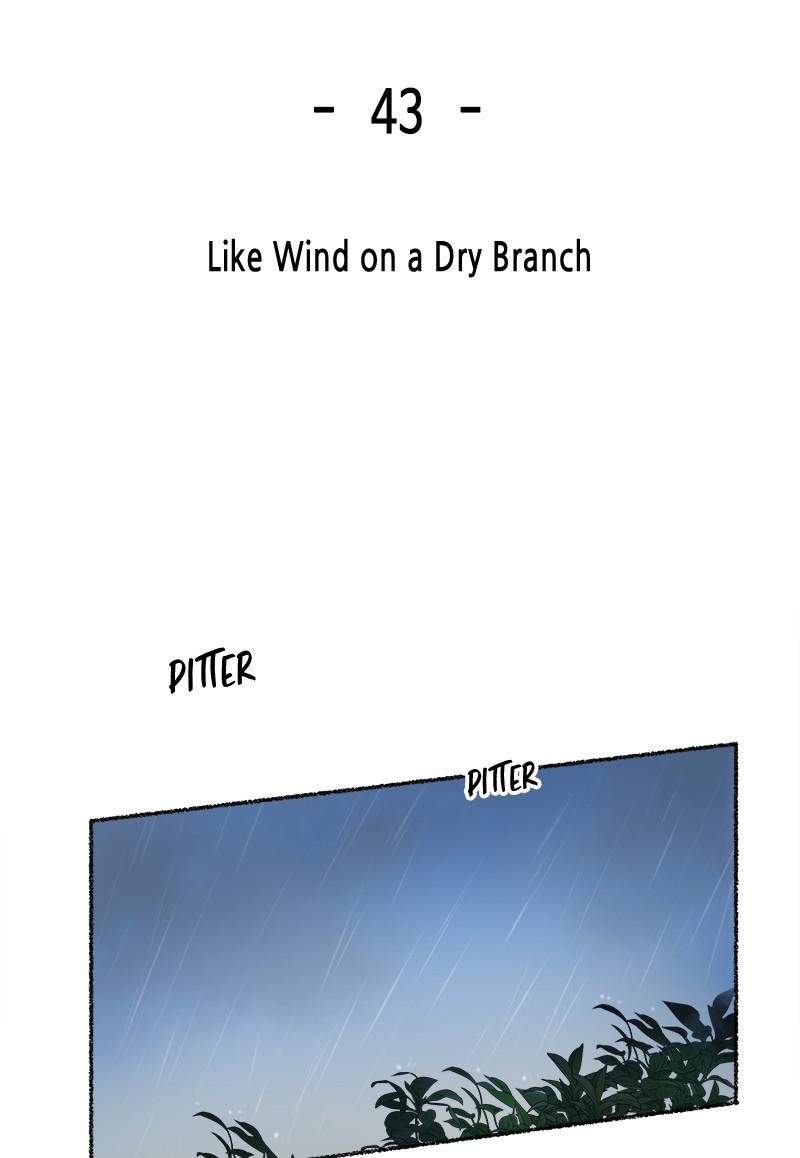 Like Wind on a Dry Branch Chap 43 - Next Chap 44