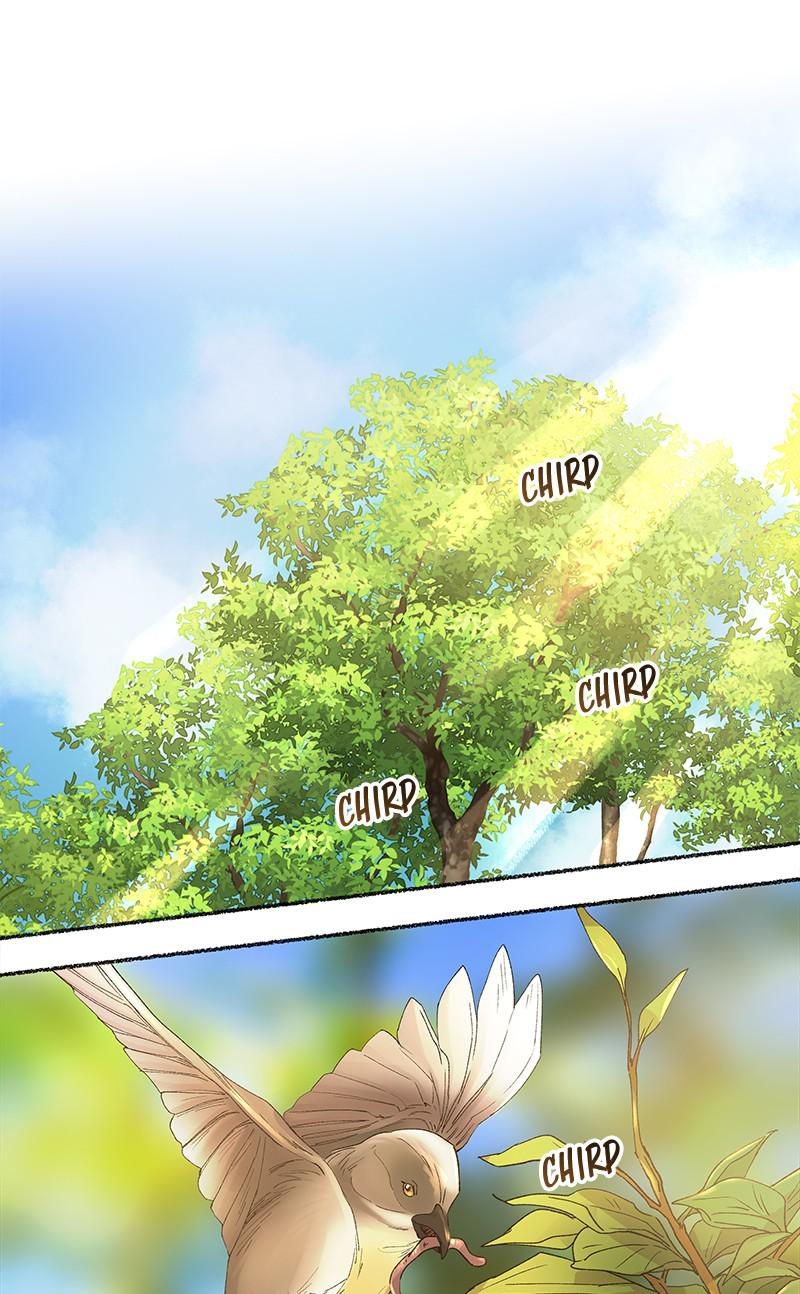 Like Wind on a Dry Branch Chap 43 - Next Chap 44