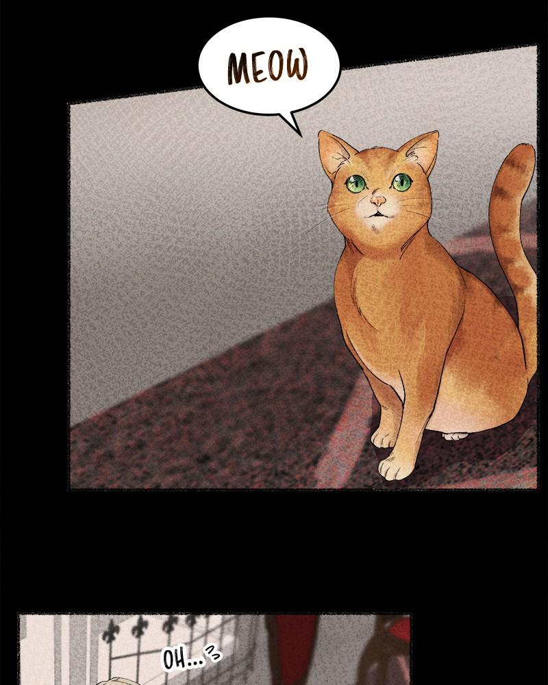 Like Wind on a Dry Branch Chap 50 - Next Chap 51