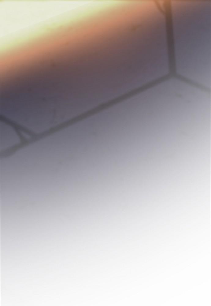 Like Wind on a Dry Branch Chap 51 - Next Chap 52