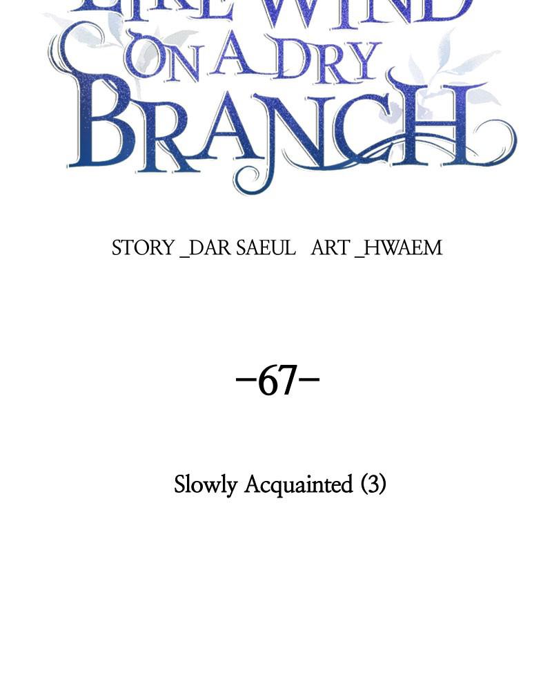 Like Wind on a Dry Branch Chap 67 - Next Chap 68