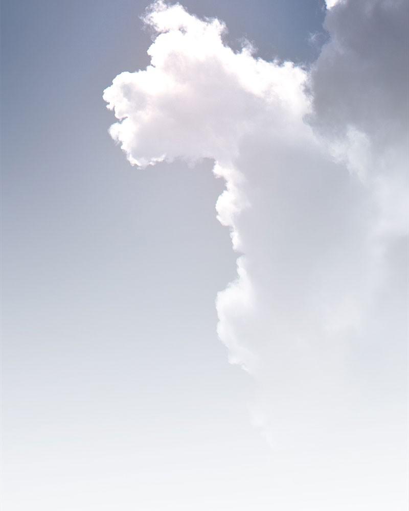 Like Wind on a Dry Branch Chap 64 - Next Chap 65