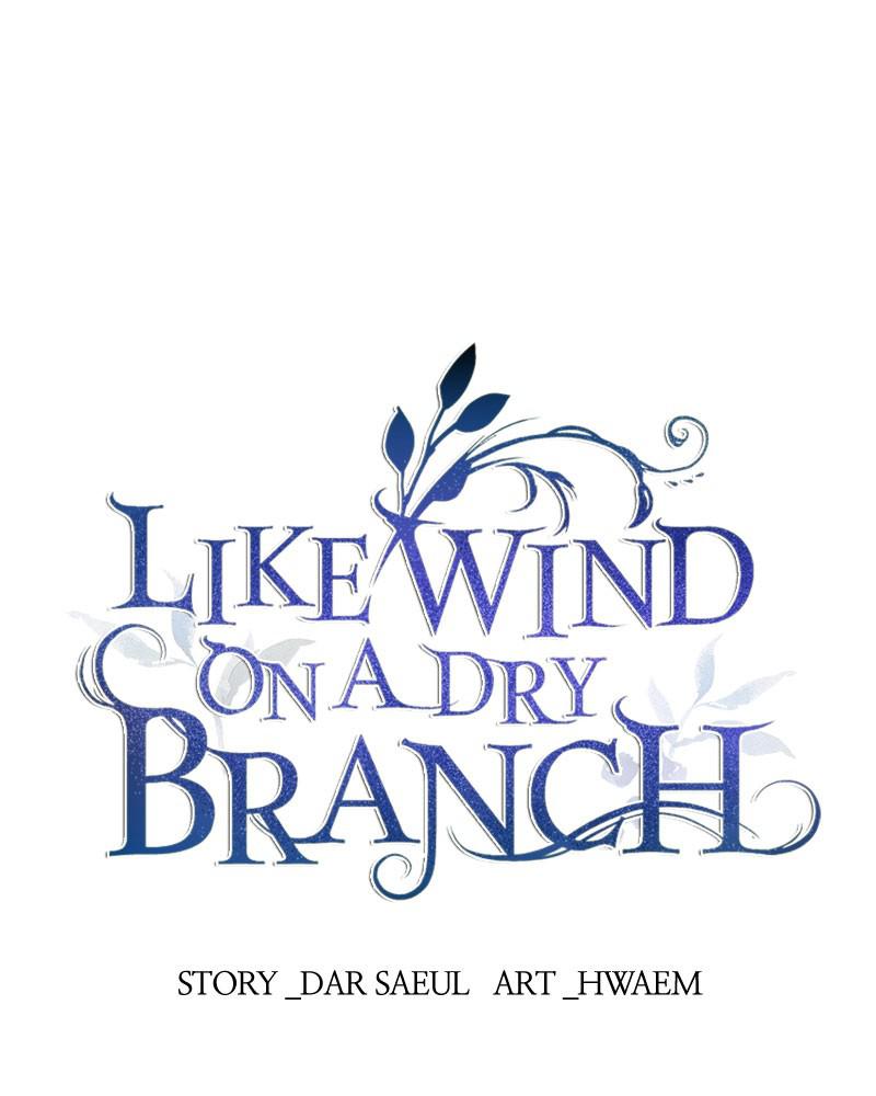 Like Wind on a Dry Branch Chap 65 - Next Chap 66