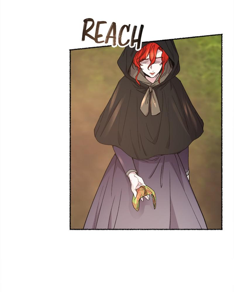 Like Wind on a Dry Branch Chap 62 - Next Chap 63