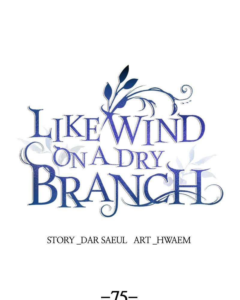Like Wind on a Dry Branch Chap 75 - Next Chap 76