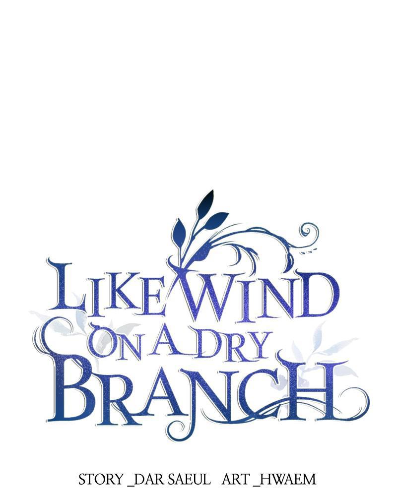 Like Wind on a Dry Branch Chap 72 - Next Chap 73