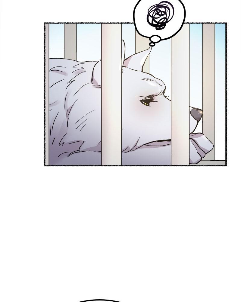 Like Wind on a Dry Branch Chap 80 - Next Chap 81