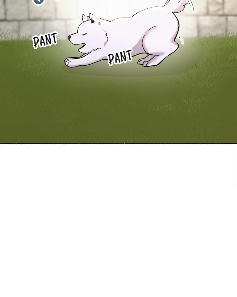 Like Wind on a Dry Branch Chap 80 - Next Chap 81