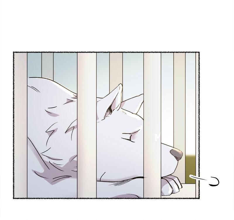 Like Wind on a Dry Branch Chap 80 - Next Chap 81