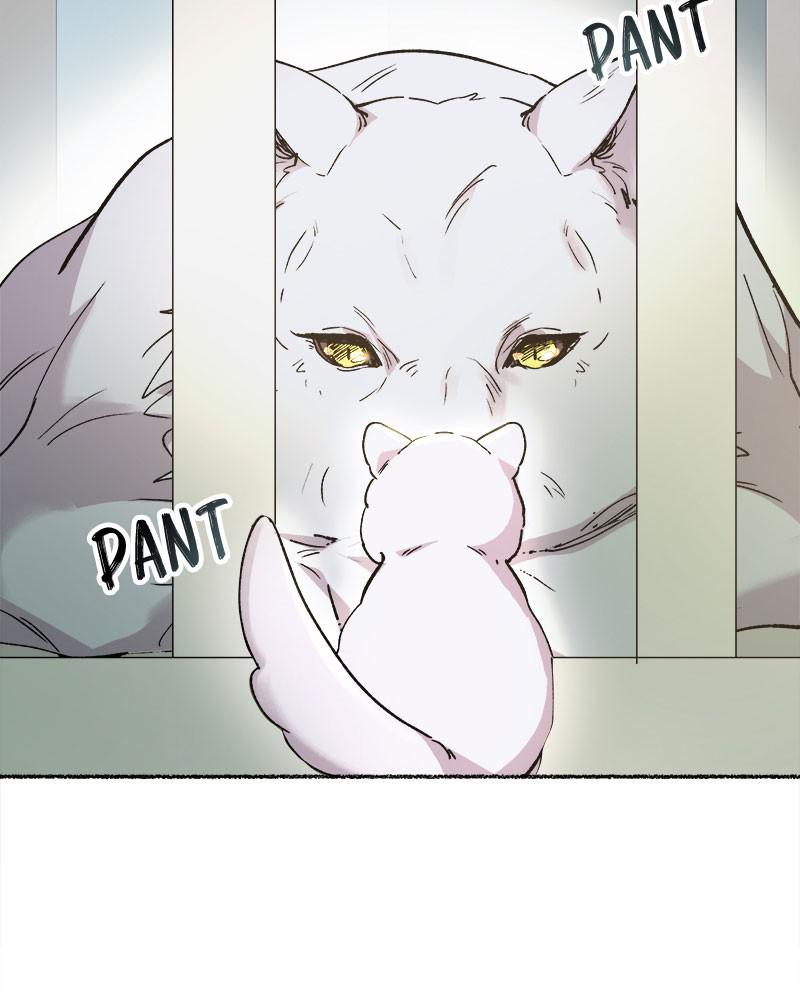 Like Wind on a Dry Branch Chap 80 - Next Chap 81
