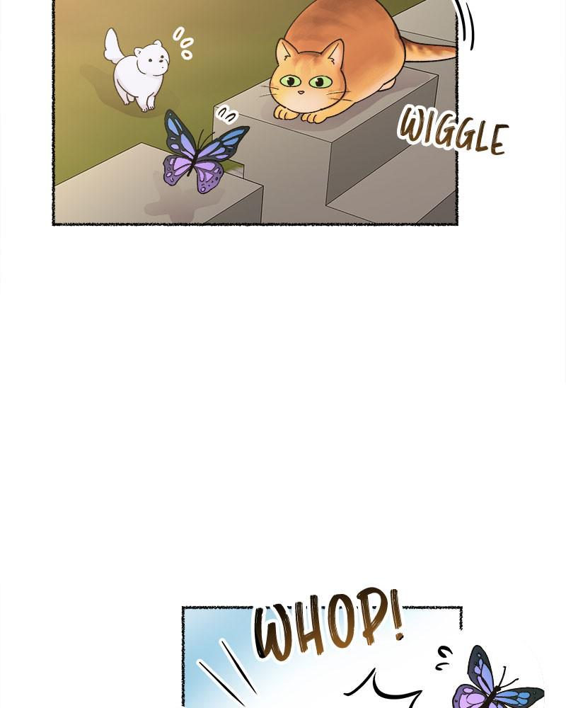 Like Wind on a Dry Branch Chap 80 - Next Chap 81