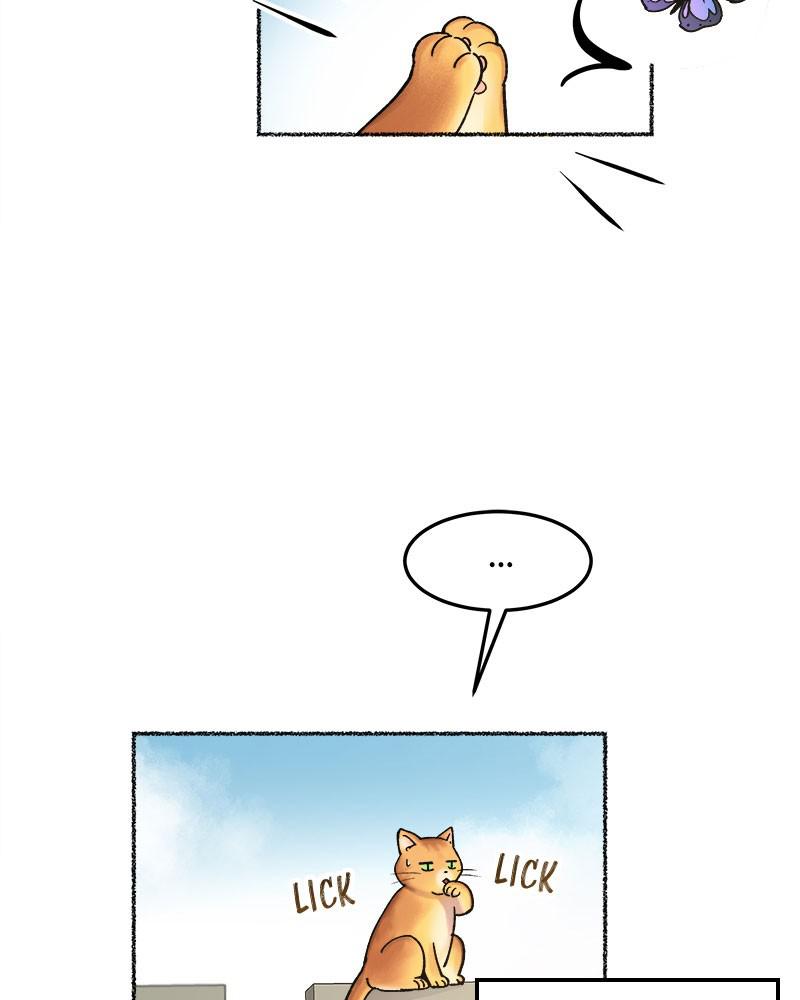 Like Wind on a Dry Branch Chap 80 - Next Chap 81