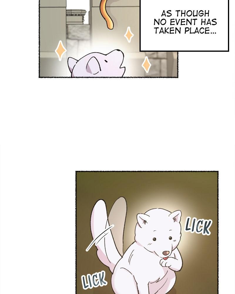 Like Wind on a Dry Branch Chap 80 - Next Chap 81