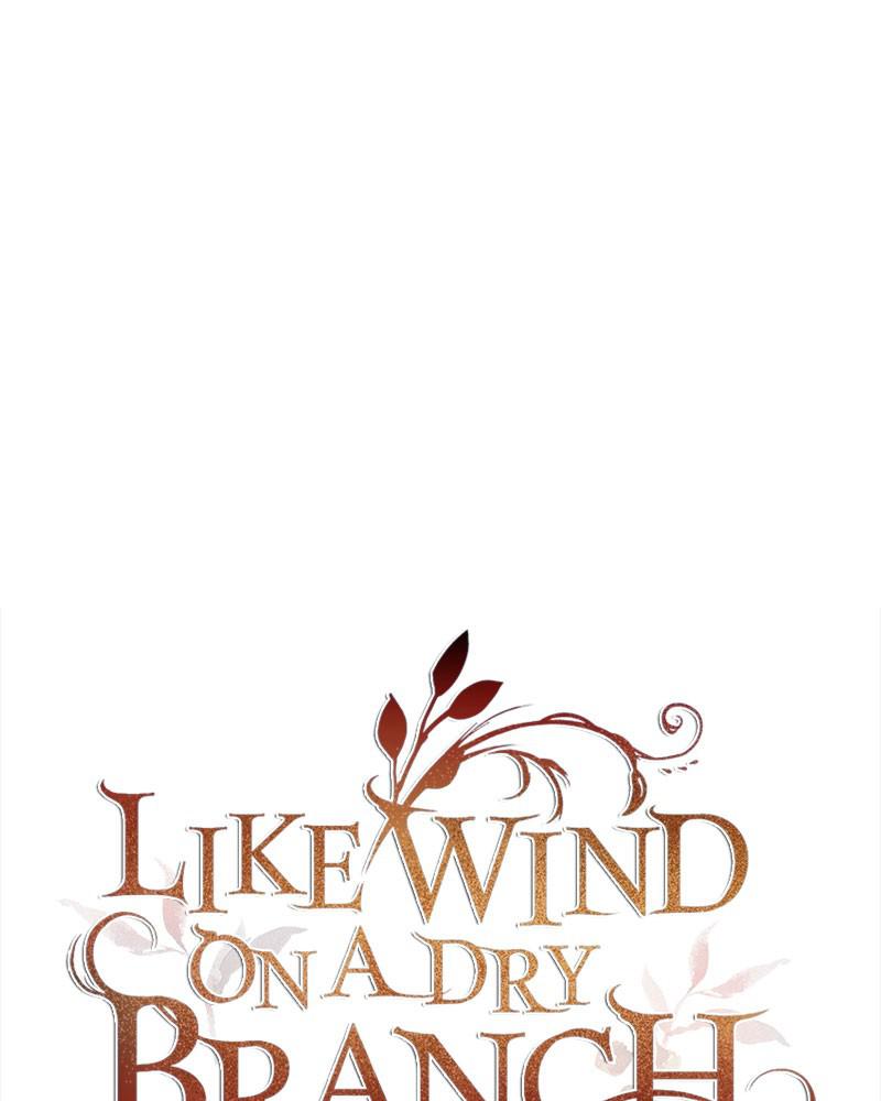 Like Wind on a Dry Branch Chap 81 - Next Chap 82